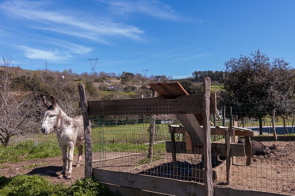 Casa Rural Restaurante Aranburu Zestoa Dış mekan fotoğraf